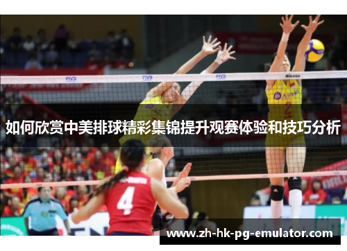 如何欣赏中美排球精彩集锦提升观赛体验和技巧分析