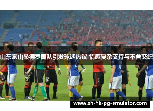 山东泰山桑德罗离队引发球迷热议 情感复杂支持与不舍交织