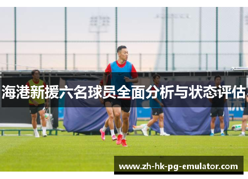 海港新援六名球员全面分析与状态评估