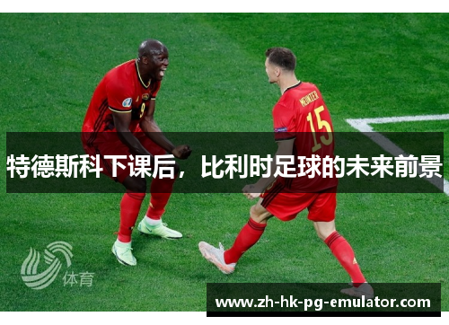 特德斯科下课后，比利时足球的未来前景