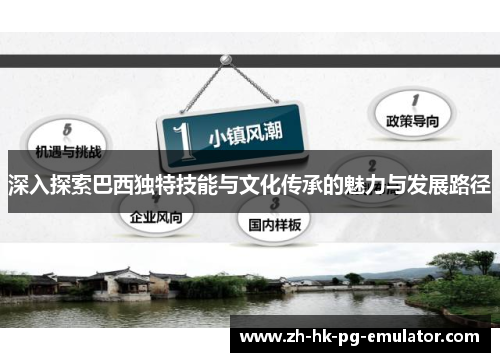 深入探索巴西独特技能与文化传承的魅力与发展路径