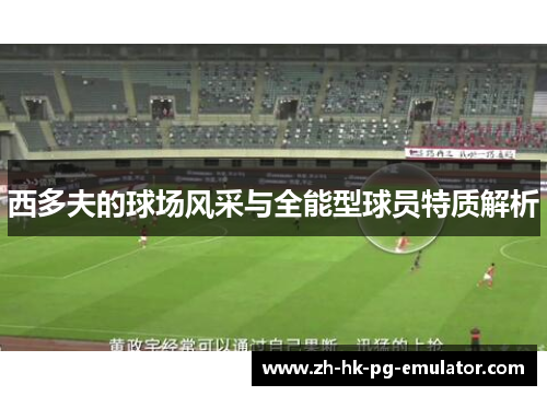 西多夫的球场风采与全能型球员特质解析
