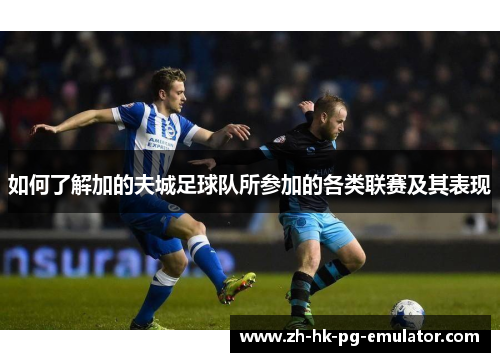 如何了解加的夫城足球队所参加的各类联赛及其表现