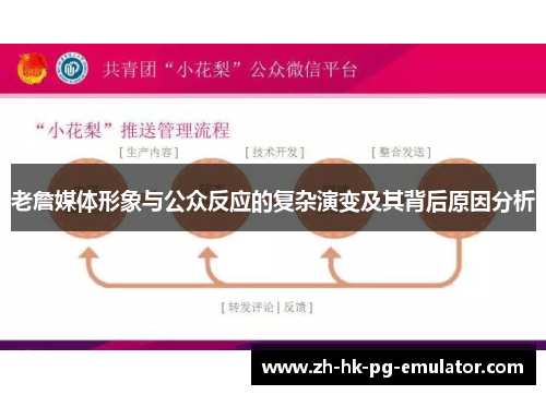 老詹媒体形象与公众反应的复杂演变及其背后原因分析
